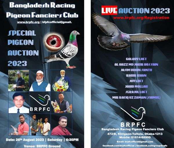 Special Pigeon Auction 2024